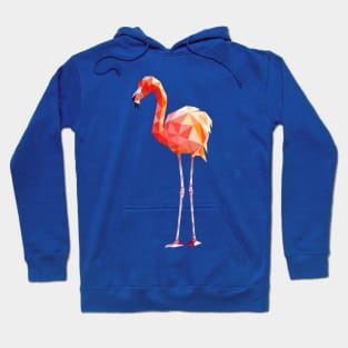 Flamingo Hoodie